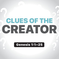 Clues of the Creator