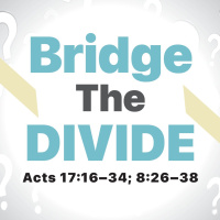 Bridge the Divide