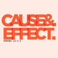 Cause  Effect: