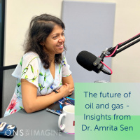 The future of oil and gas