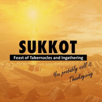 Thanksgiving - More than Turkey and Dressing