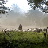 Those Who Break Through