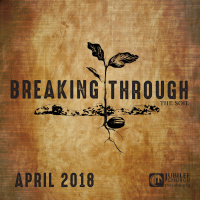 Letting the Light Bring Life to the Surface_Breaking Through the Soil Part 3