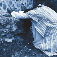 Have You Been to the Garden