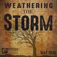 Losing the Leaves_Weathering the Storm Part 2