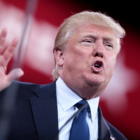 Episode 1: The Trump Administration