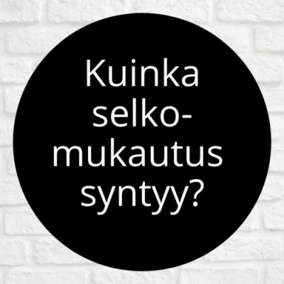 Random Finnish Lesson