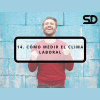 14. Cómo medir el Clima Laboral