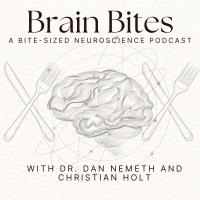 Your mood and microbes: An interview with Dr. John Cryan, PhD