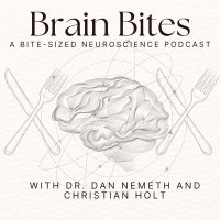 Neuroscience of Addiction with Dr. Judith Grisel