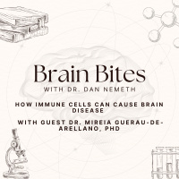 How immune cells can cause brain disease - Multiple Sclerosis w/ Mireia Guerau-de-Arellano, PhD