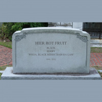 TechPod #54 – Zwarte tijd voor BlackBerry