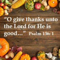 So Much to be Thankful for...