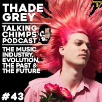 The Music Industry, Evolution, The Past amp The Future | Talking Chimps Podcast #43 - Thade Grey