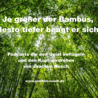 Wie Bambus im Sturm - Resilienz - Fürsorglichkeit mit meinem Leben