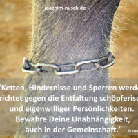 Über unsere Fesseln und die Unabhängigkeit