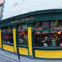 001 | The Hairy Lemon