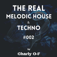 Melodic House amp Techno 2023 | The Real Melodic House #002