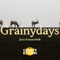 T4 E3: Jason Kummerfeldt: Not just a Grainyday