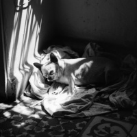 T2: E2 - El Renacimiento