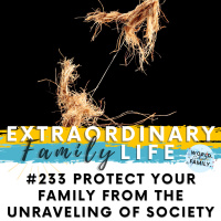 #233 The Impending Unraveling (and Collapse?) of Society -- How to Protect Your Family