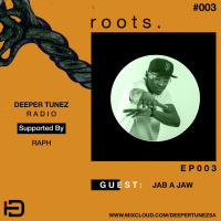 Roots #003 Mixed By Raph