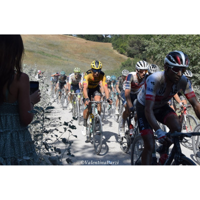 Les Commissaires De Course