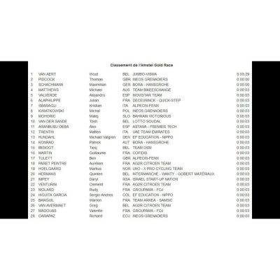 Les Commissaires De Course