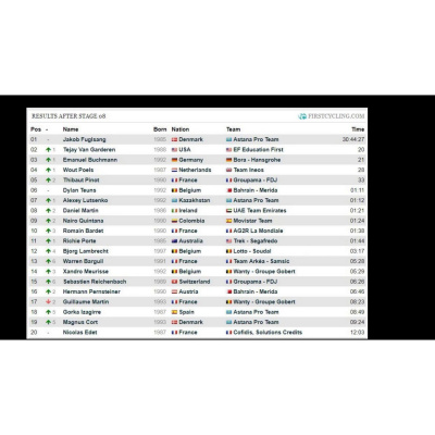 Les Commissaires De Course