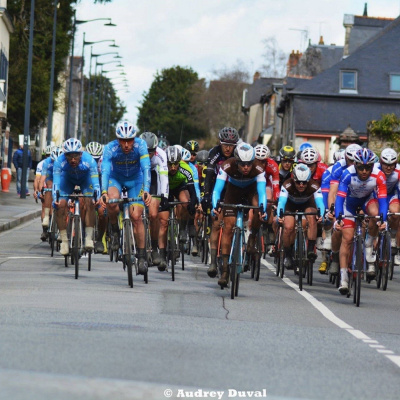 Les Commissaires De Course