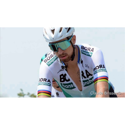 Les Commissaires De Course