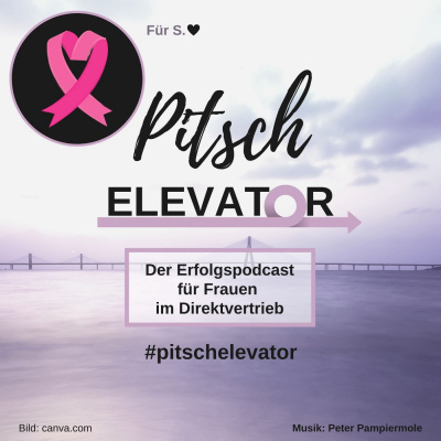 Pitsch Elevator