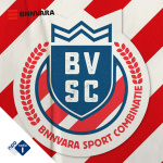 B.v.s.c.