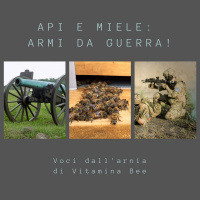 Api e miele: armi da guerra!