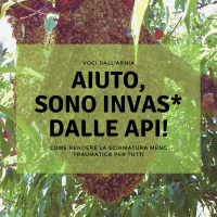 Aiuto, sono invas* dalle api!