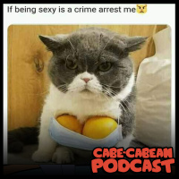 04. Being Sexy Is A Crime???
