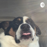 A.b... Ceces Talk Time