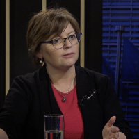 Det nye Europa - Marianne Vind