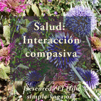 Tejiendo el Yoga Sutra: Salud, interacción compasiva (5ta parte)
