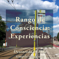 Tejiendo el Yoga Sutra: Rango de consciencia y experiencias