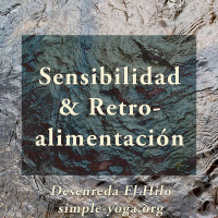 Tejiendo el Yoga Sutra: Sensibilidad y retroalimentación