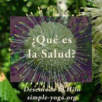 Tejiendo el Yoga Sutra: ¿Qué es salud?