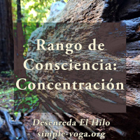 Tejiendo el Yoga Sutra: Rango de consciencia - concentración