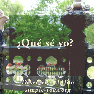 Desenreda El Hilo: Viviendo El Yoga Sutra Hoy