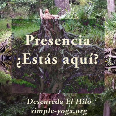 Desenreda El Hilo: Viviendo El Yoga Sutra Hoy