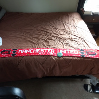 Why Would I Have a Favorite Sports Team?