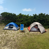 Why Would I go to the Island?