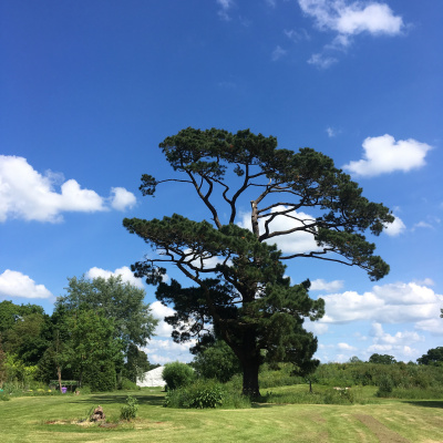 Mindful Globe Meditations