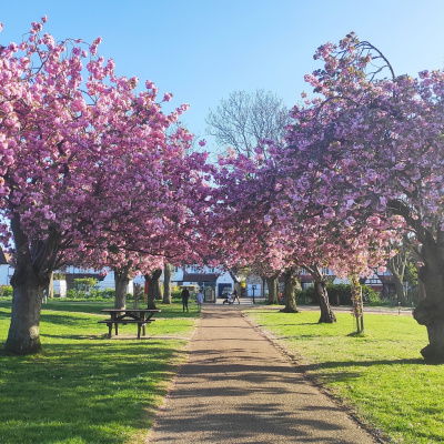 Mindful Globe Meditations