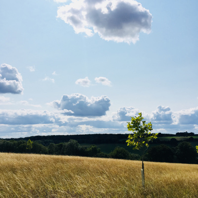 Mindful Globe Meditations